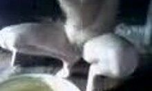 Hey babe, wanna see me wash my big titties today?