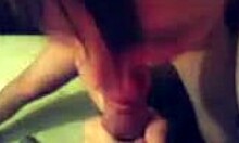 Cute Brunette Girlfriend Eagerly Sucks Boyfriend's Cock with Smile