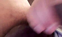 new tribute to the black latina's curves