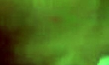 ex gf sucks big cock in homemade bed video