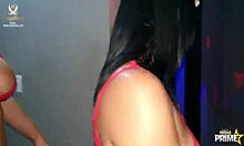 I see my friends swaping boyfriends to fuk hard, it's so hot!