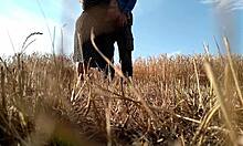 Sexy Milf in Dress Gives Handjob in Public Field, Showing Big Ass