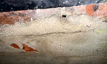 Cracky the Pornstar in Mature MILF Scene with Brunette and Blonde Sluts