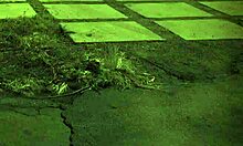 Fast and rough orgasm in sock smelling bondage