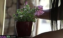 i'm the trimmed beauty getting plowed in missionary while giving a blowjob