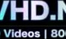 Japanese Beauties in Lingerie Vol 2