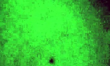 Teen 18+ Engages In Intimate Acts