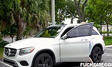 wendy raine, lucky anne, nicky rebel in the lucky rebel series