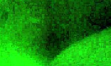 Amateur couple enjoys special creampie session