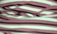 My Latina Friend Craved Cock and Got Super Wet