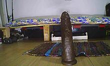 Party leads to assfucking with toys