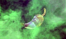 Escaping The Block To Fuck Claudia Leite In The Bar Bathroom.