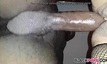 stroke that big black cock on my wet ebony pussy, she teases