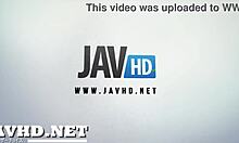 stunning asian babe in adult film