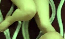 Cuckold Wife Rides Big Cock