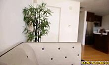 melissa may gets bent over for a doggy screw by her step bro during casting