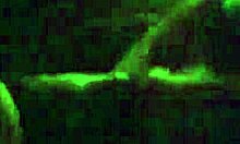 my friends milf sucking on that big monster cock