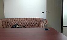 i love peaches' big tits in this brutal pov casting