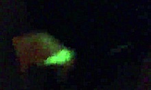 my friends milf sucking on that big monster cock