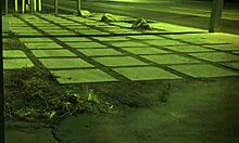 Cute stepdaughter punished in garage bondage