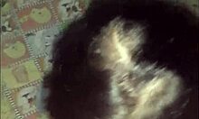 Petite latina whore blows in public