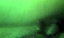 BBW amateur couple engages in nasty pussy sex with squirting