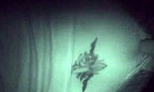 Debora Gaucha Gets Naughty Outdoors With Huge Cumshot