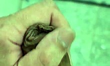 i'm dotado novinho playing in the bath with cute exotic vibes