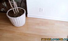 teen pov sucking cock