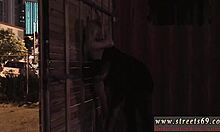 rough pussy xxx poor goldie, what are you doing?