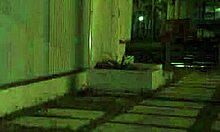 Stranded Teen 18+ Encounters Unexpected Outdoor Adventure.