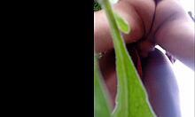 i got fucked by my trans friend at the rave in the woods