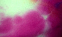 Helping My Latina Friend Moni with a Favor