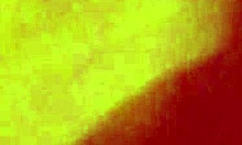 fucking around with big black cock again