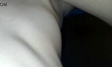 Madrastra, what are you doing calmly, my love?