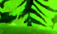 my neighbor needed a quick hand with his urges