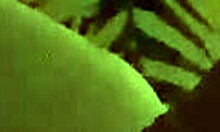 my neighbor needed a quick hand with his urges