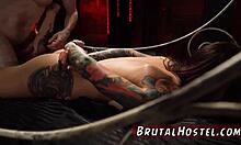 Wow, I Found Step Mother's Porn And Excited Felicity Feline!