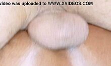 ever best quick daily gathering with friends