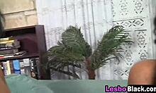 lesbian ebony babe having fun with toys