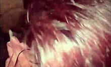 missr8 enjoys sucking on her favorite big black candy