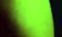 my best friend fights girlfriend on phone while she rides my dick