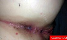 Amateurs on webcam fucking and blowing