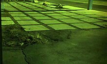 Teen in rough doggy bondage