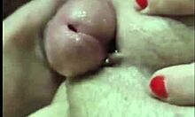 Wife Cheats on Cuckold Husband with Boss for Oral Cumshot