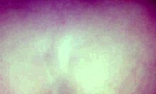 Amateur Rides In Reverse Cowgirl Position