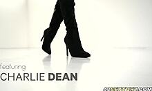 Big Cock Meets Exotic Babe