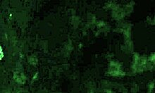 My Wife's Sexy Juicy Fat Thick Ass Gets Homemade Attention