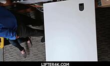 Lifter4k - Raven Reign caught with stolen credit cards