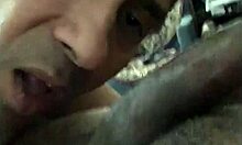 indian gay bear daddy action